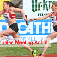 19. Internationales Leichtathletik-Meeting Anhalt 2017
