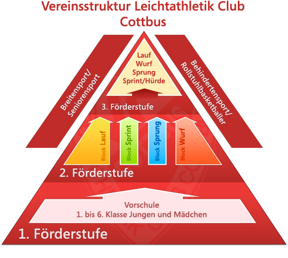 vereinsstruktur