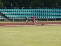 DSC08341