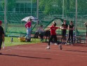 DSC00710 DSC00710
