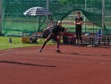 DSC00715 DSC00715