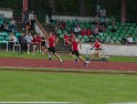DSC05919 DSC05919