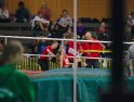 DSC09654 DSC09654