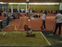 DSC09154 DSC09154