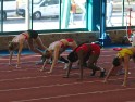DSC05228 DSC05228