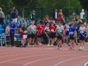 DSC03545 DSC03545
