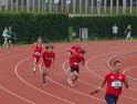 DSC03695 DSC03695