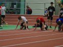 DSC04795 DSC04795