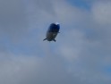 DSC07797