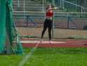 DSC00231 DSC00231