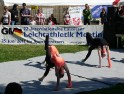 citylauf_2011_061